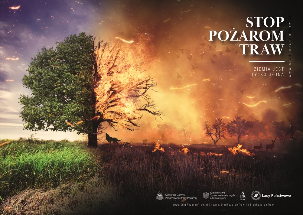 Płoną trawy i nieużytki 
